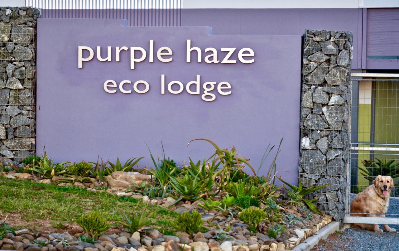 Purple Haze Eco Lodge Chintsa Kültér fotó